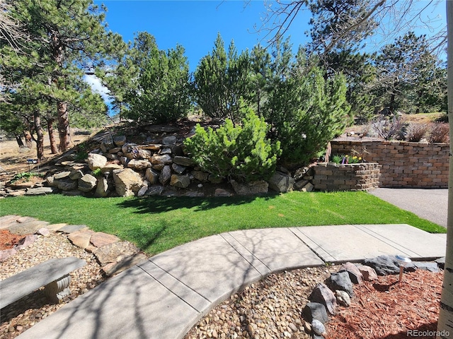 2433 Dogie Spur, Golden, CO 80403 - view of green lawn