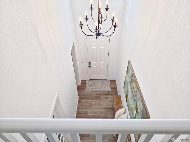 foyer entrance with hardwood / wood-style flooring