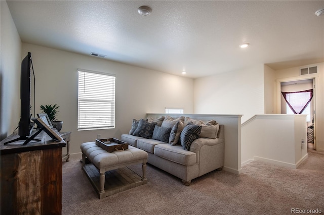 920 William Way, Brighton, CO 80603 - living room with carpet floors and baseboards