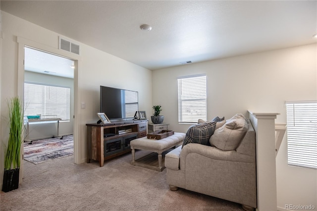 920 William Way, Brighton, CO 80603 - living area featuring light carpet