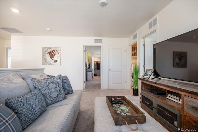 920 William Way, Brighton, CO 80603 - living room with carpet flooring and baseboards