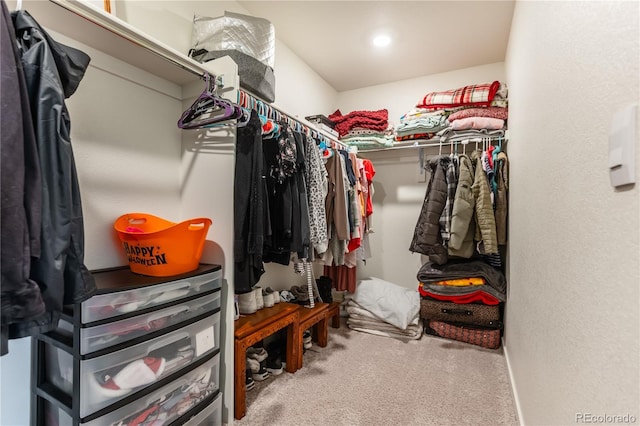 920 William Way, Brighton, CO 80603 - walk in closet with carpet