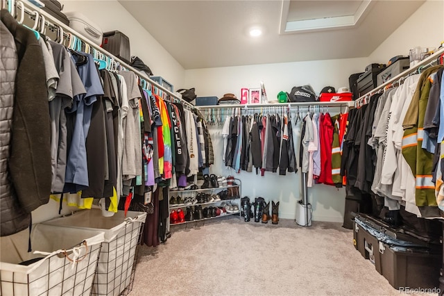 920 William Way, Brighton, CO 80603 - spacious closet with carpet flooring and attic access