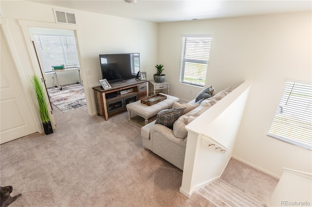 920 William Way, Brighton, CO 80603 - living room with carpet and baseboards