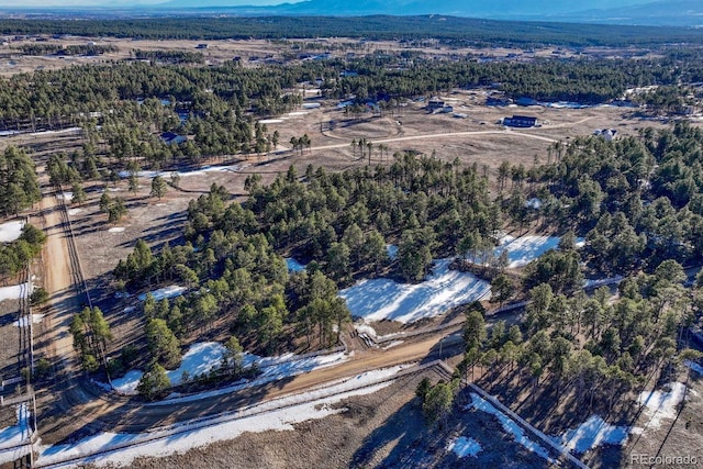 bird's eye view featuring a mountain view and a view of trees