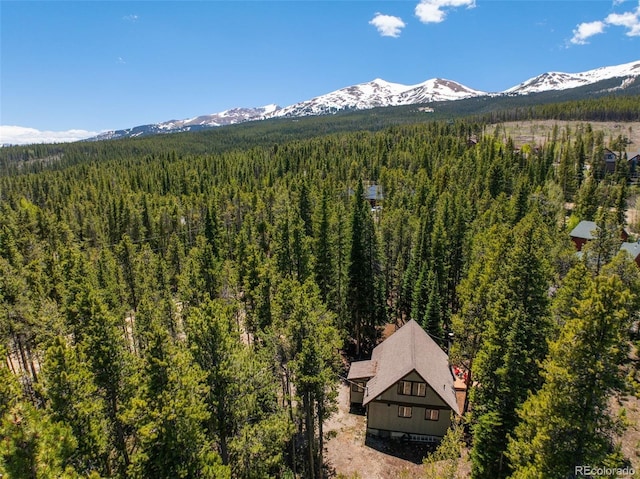 91 Slalom Dr, Breckenridge, CO 80424 - photo 5