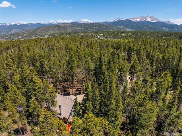 91 Slalom Dr, Breckenridge, CO 80424 - photo 6