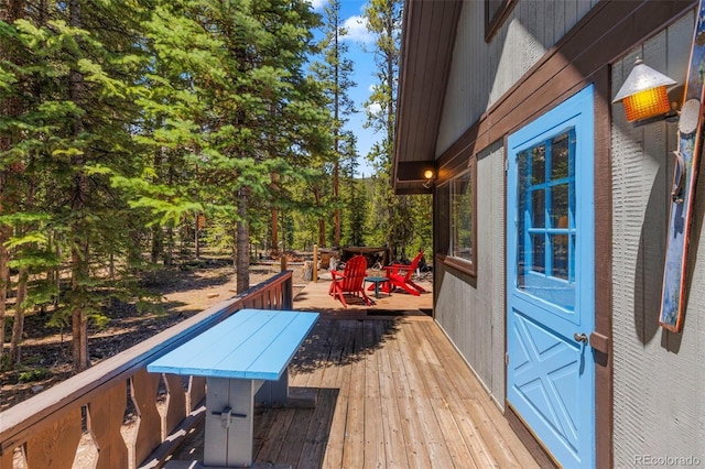 91 Slalom Dr, Breckenridge, CO 80424 - photo 20