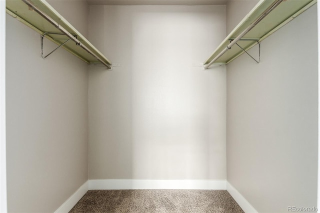 walk in closet featuring carpet floors