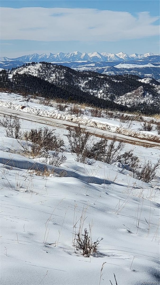 331 Troy Way, Cripple Creek CO, 80813 land for sale