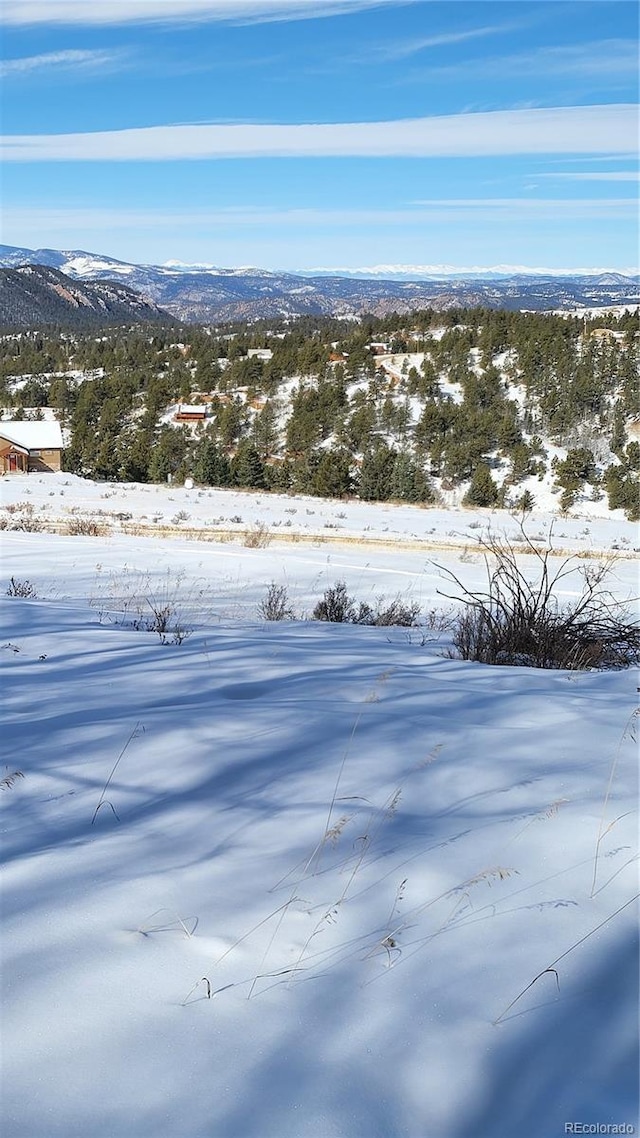 Listing photo 3 for 331 Troy Way, Cripple Creek CO 80813