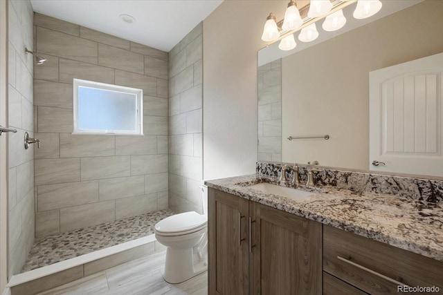 bathroom with vanity, a tile shower, and toilet