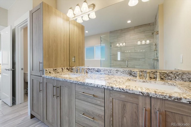 bathroom with vanity, a shower with door, and toilet