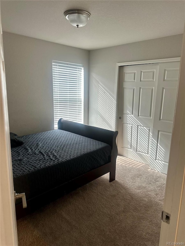 carpeted bedroom featuring a closet