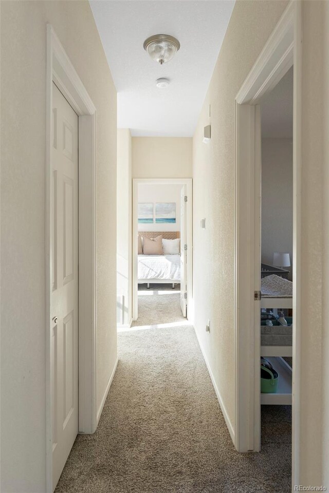 2250 S Vaughn Way Unit 204, Aurora, CO 80014 - hall featuring carpet flooring and a textured wall