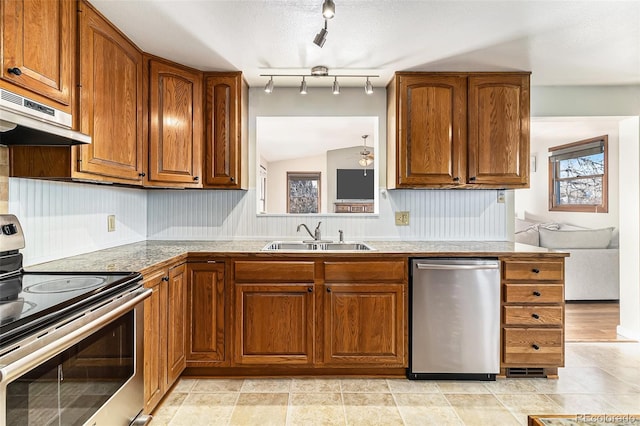 kitchen with exhaust hood, sink, and stainless steel appliances