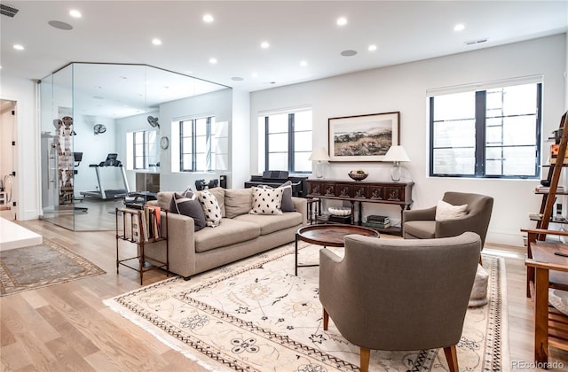 living room with light wood-type flooring and a wealth of natural light