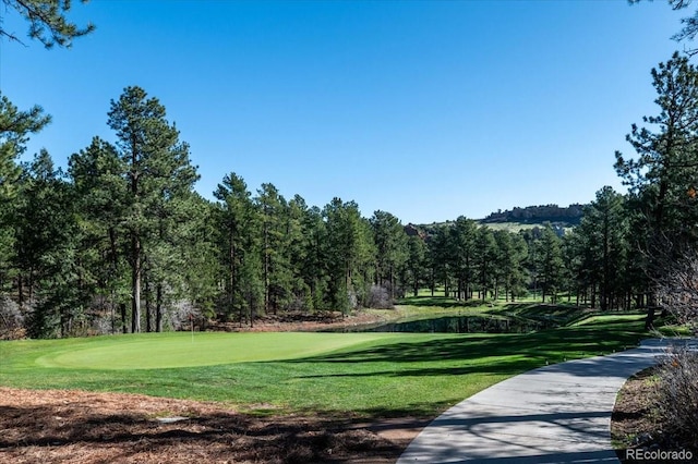 6350 Apache Dr, Larkspur, CO 80118