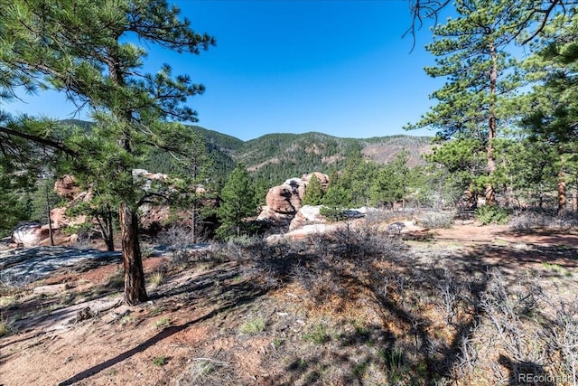6350 Apache Dr, Larkspur, CO 80118