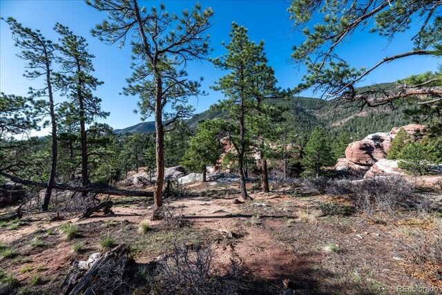 6350 Apache Dr, Larkspur, CO 80118