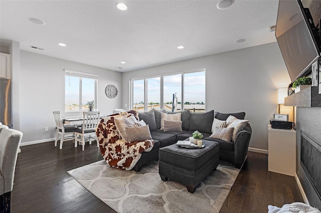 living room with a textured ceiling and dark hardwood / wood-style flooring