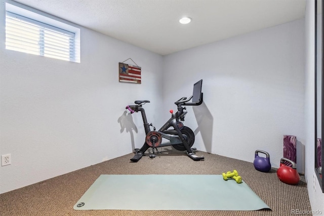 workout room featuring carpet