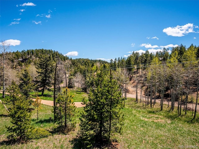 34075 Grouse Ln, Evergreen, CO 80439 - mountain view featuring a forest