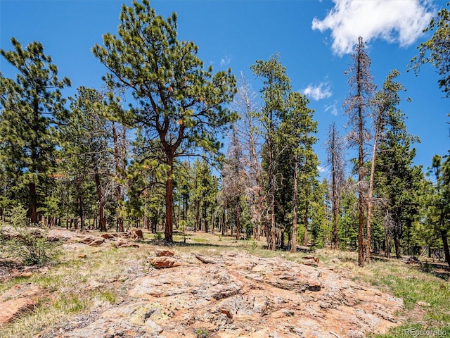 34075 Grouse Ln, Evergreen, CO 80439 - view of woods