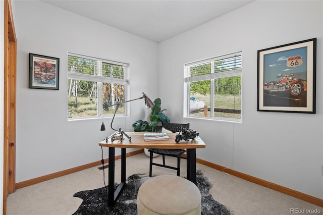 7551 Remington Rd, Como, CO 80432 - carpeted home office featuring baseboards