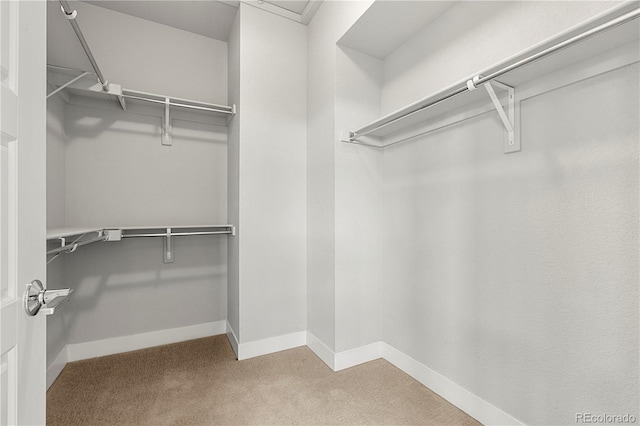 5988 N Boston St, Denver, CO 80238 - walk in closet featuring carpet floors