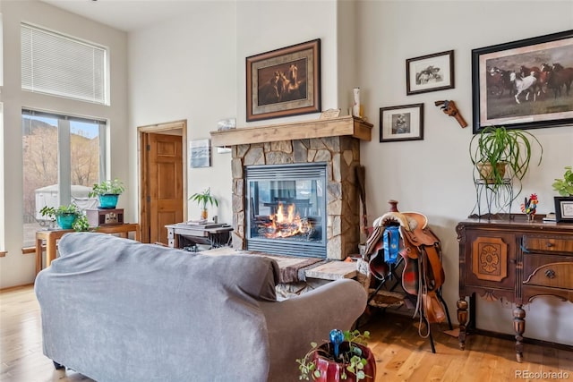 living area with wood finished floors and a stone fireplace