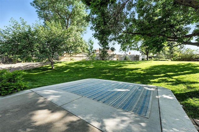 5193 S Flanders Ln, Centennial, CO 80015 - exterior view of a fenced backyard