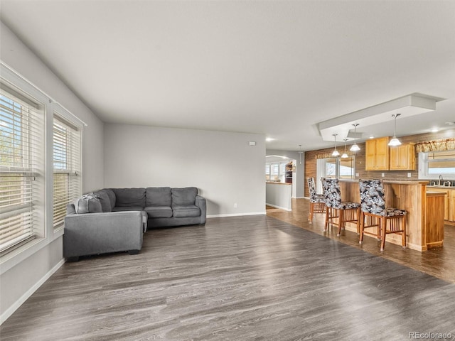 47855 E 88th Ave, Bennett, CO 80102 - living room with baseboards, plenty of natural light, and dark wood-type flooring