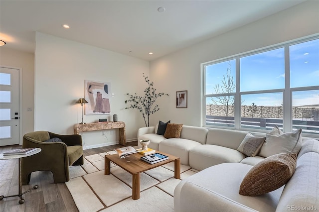 living room featuring light hardwood / wood-style floors