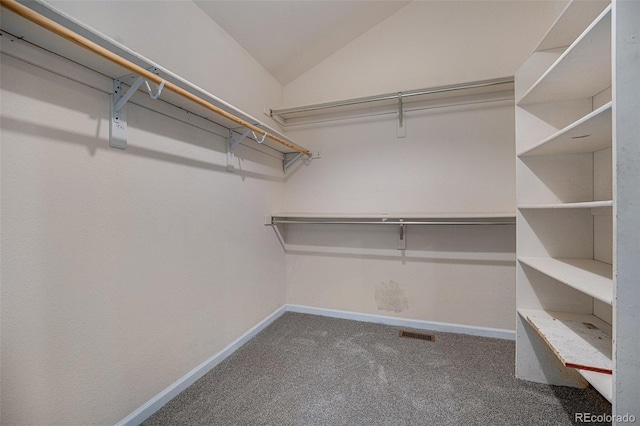 8259 S Franklin Ct, Centennial, CO 80122 - photo 21