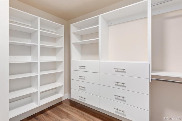 spacious closet with wood-type flooring