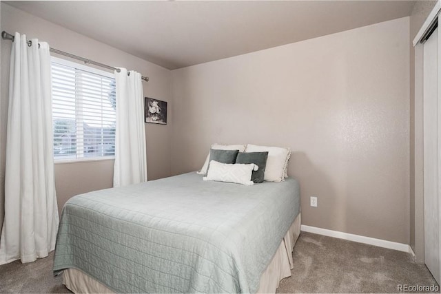 bedroom with carpet floors