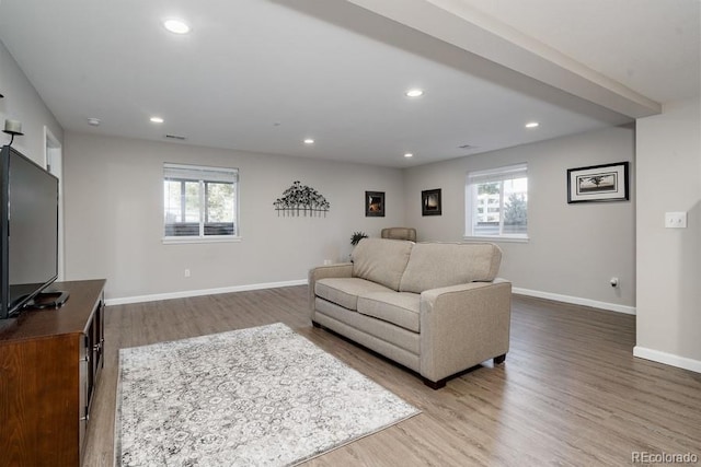 living room featuring a wealth of natural light and hardwood / wood-style floors