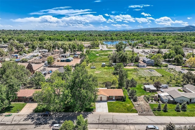 11310 W 46th Ave, Wheat Ridge, CO 80033 - aerial view of a forest