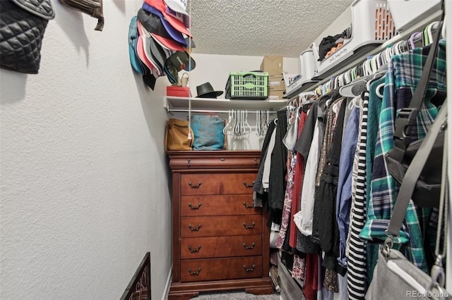 1021 Lodge Pole Dr, Black Hawk, CO 80422 - view of spacious closet