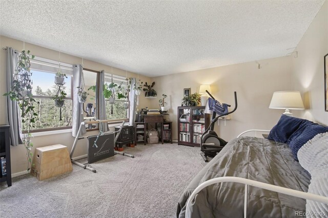 1021 Lodge Pole Dr, Black Hawk, CO 80422 - carpeted bedroom with a textured ceiling
