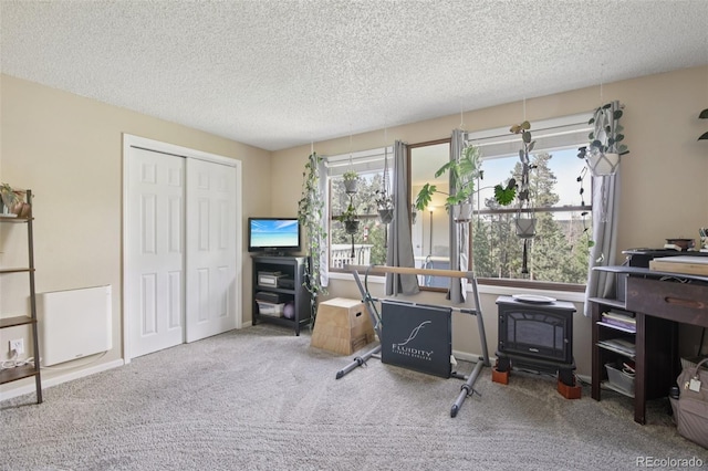 1021 Lodge Pole Dr, Black Hawk, CO 80422 - home office featuring a textured ceiling and carpet