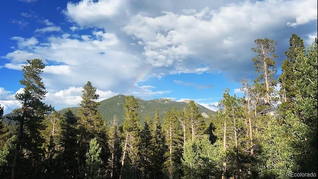 1021 Lodge Pole Dr, Black Hawk, CO 80422 - view of mountain backdrop featuring a forest