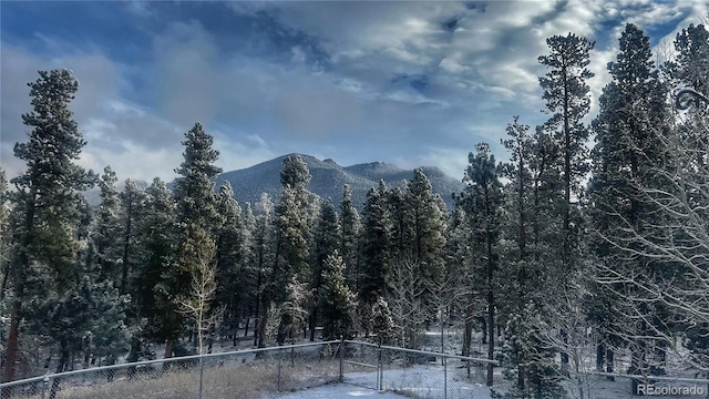 1021 Lodge Pole Dr, Black Hawk, CO 80422 - view of mountain background featuring a heavily wooded area