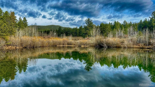 1021 Lodge Pole Dr, Black Hawk, CO 80422 - water view with a heavily wooded area