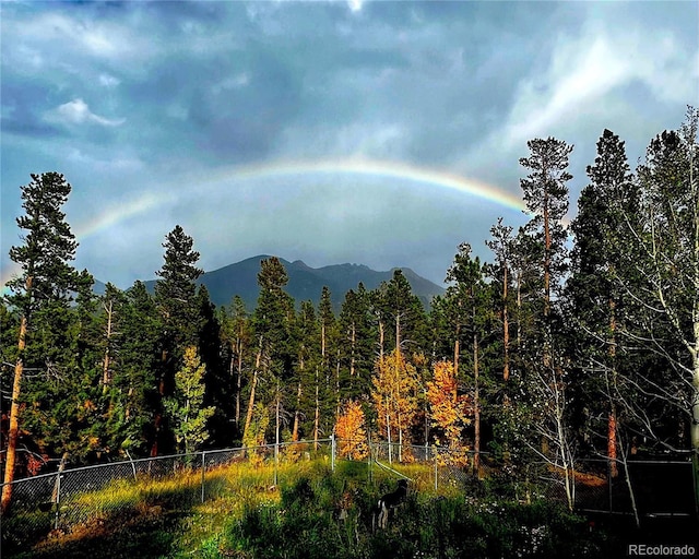 1021 Lodge Pole Dr, Black Hawk, CO 80422 - view of mountain backdrop featuring a forest
