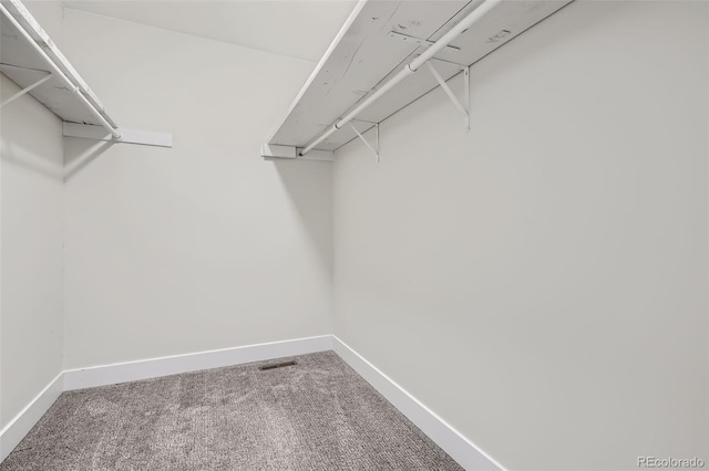 9605 E Kansas Cir Unit 53, Denver, CO 80247 - walk in closet featuring carpet floors