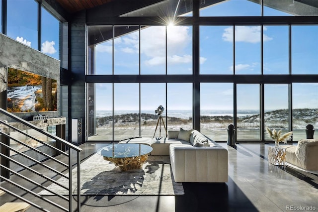 living area with a wealth of natural light, floor to ceiling windows, and a towering ceiling