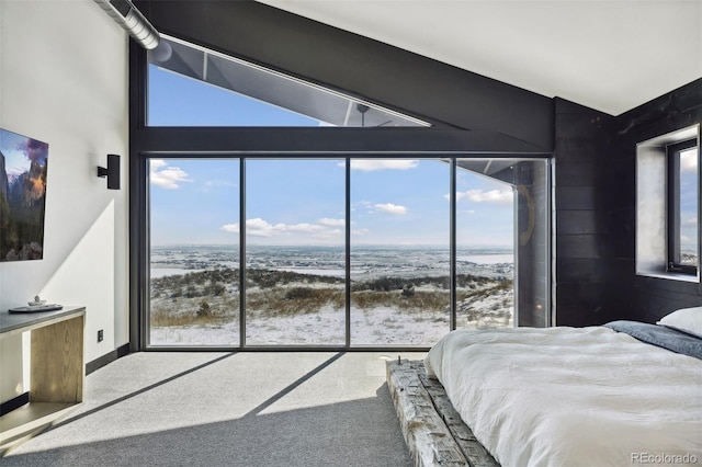 bedroom featuring carpet floors and lofted ceiling