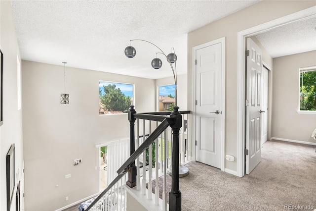 21535 E 39th Ave, Denver, CO 80249 - hallway with an upstairs landing, a textured ceiling, and carpet flooring